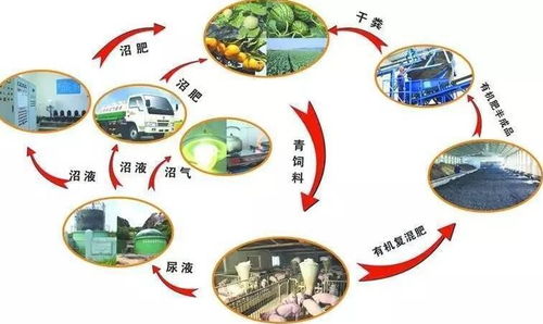 綏中千尋文案做項(xiàng)目投資策劃書質(zhì)量可靠