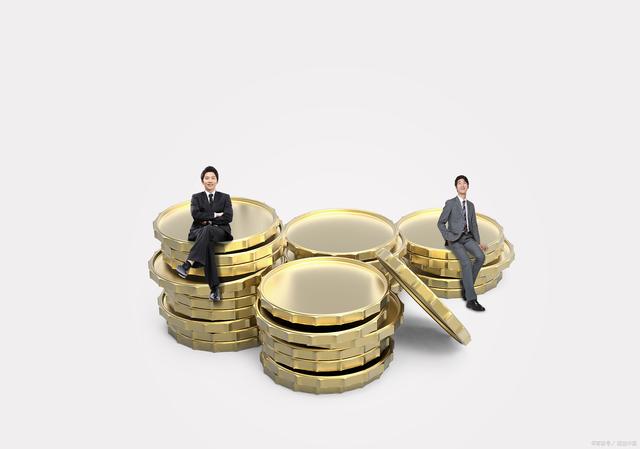 項目定向投資管理策劃及市場經濟穩定增長方案